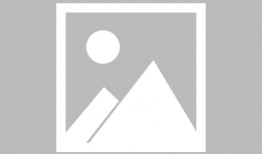 最新爆料天涯,揭秘娱乐圈惊天大事件，真相令人震惊！